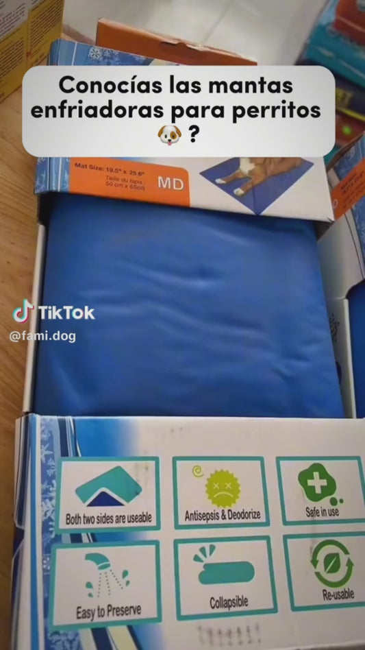 Mantén Fresco a Tu Perro o Gato 🐶🐱🧊